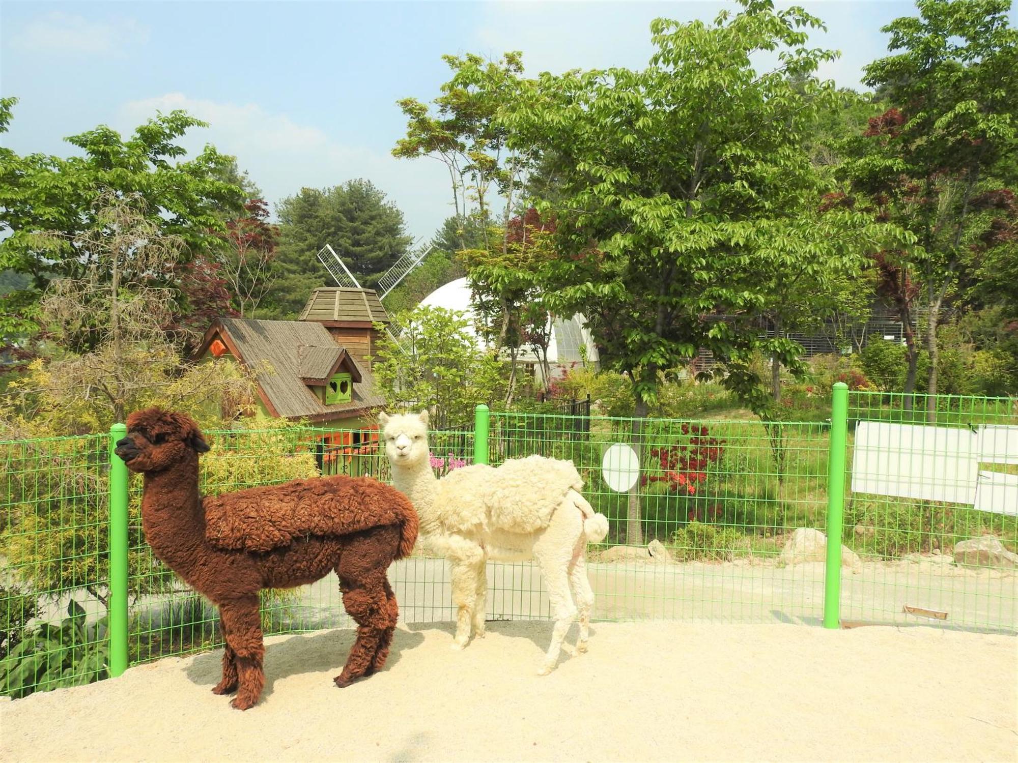 Kensington Resort Gapyeong Exteriér fotografie
