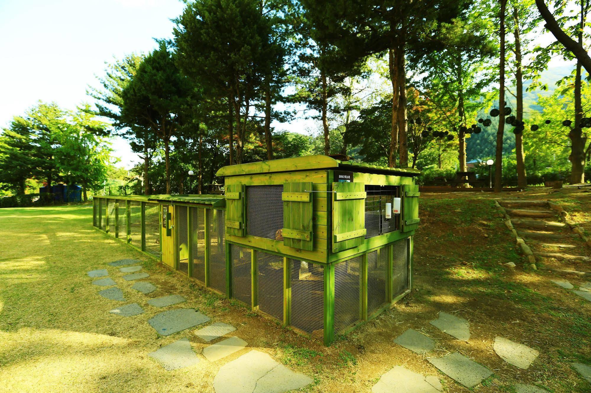 Kensington Resort Gapyeong Exteriér fotografie